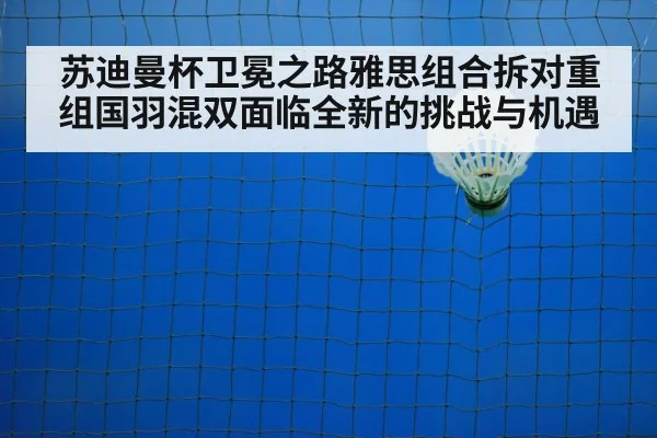 badminton training court